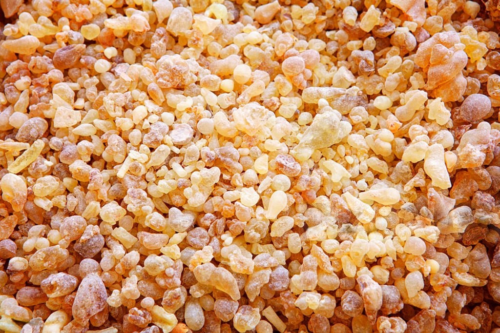 Frankincense-1