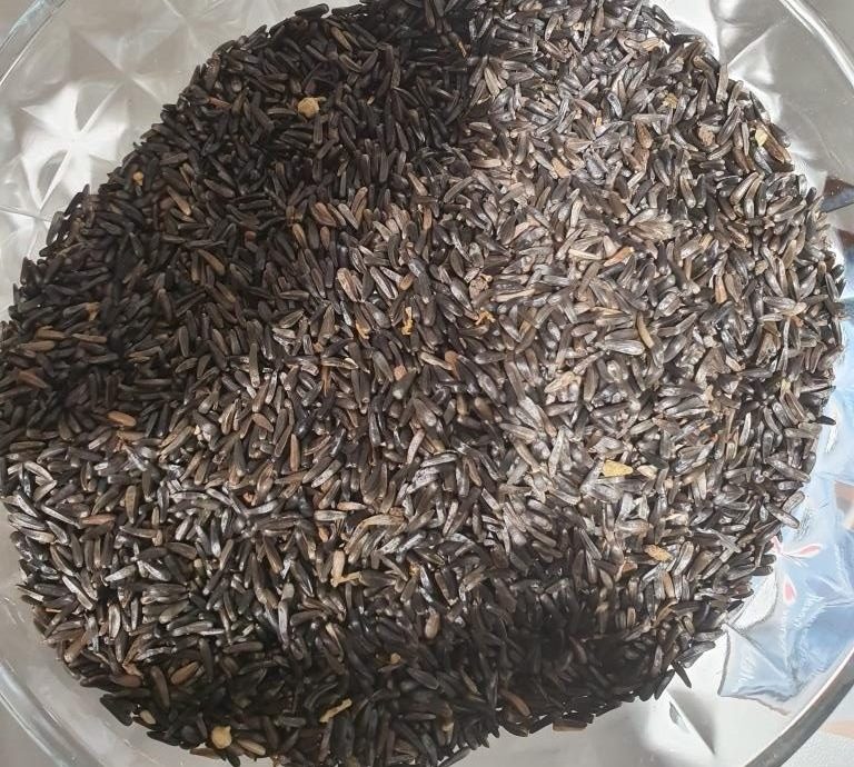 niger-seed